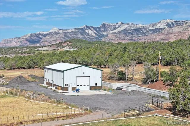 16143 Kimball Creek Road Collbran, CO 81624