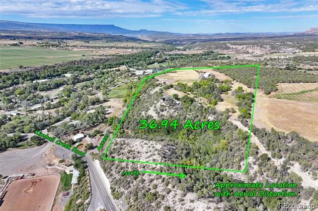 16143 Kimball Creek Road Collbran, CO 81624