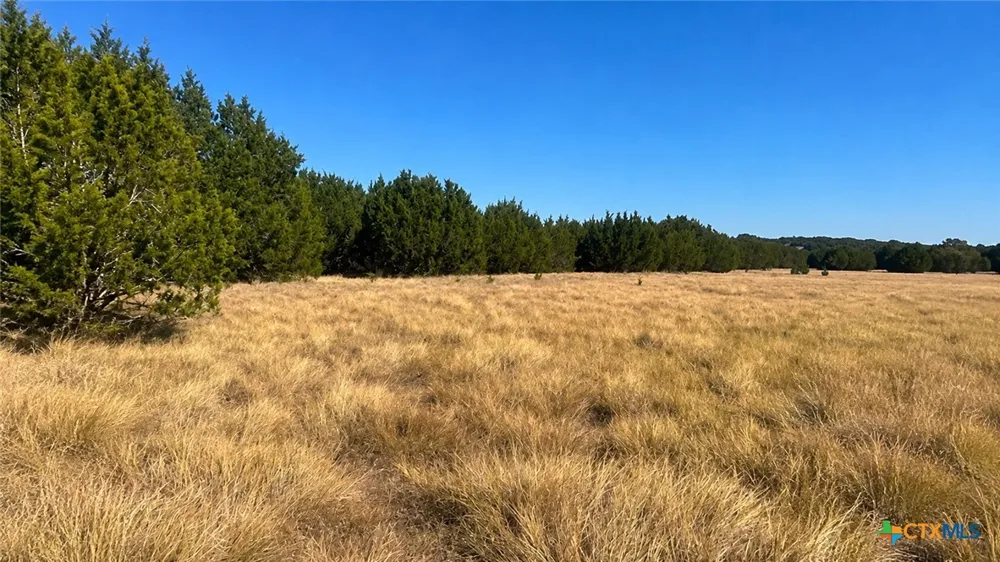 County Road 2659 Lometa, TX 76853