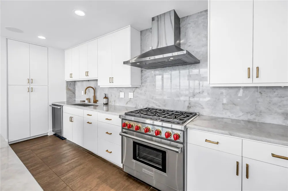 176 4TH AVENUE NE #1101 St Petersburg, FL 33701