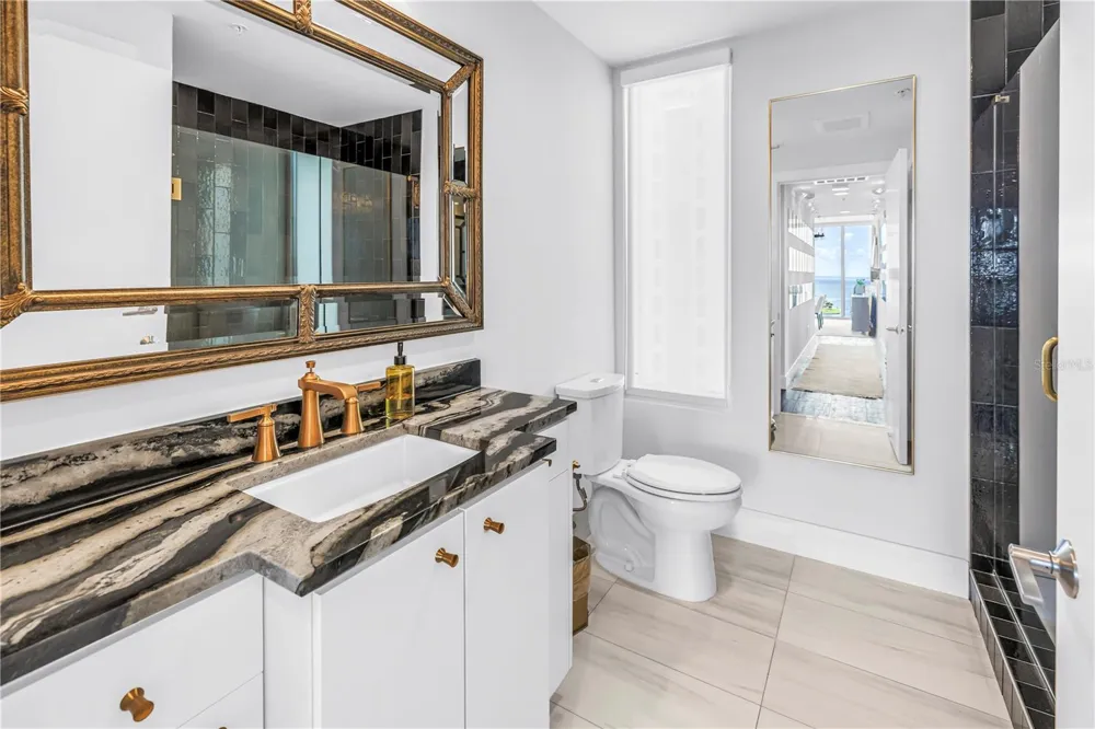 176 4TH AVENUE NE #1101 St Petersburg, FL 33701