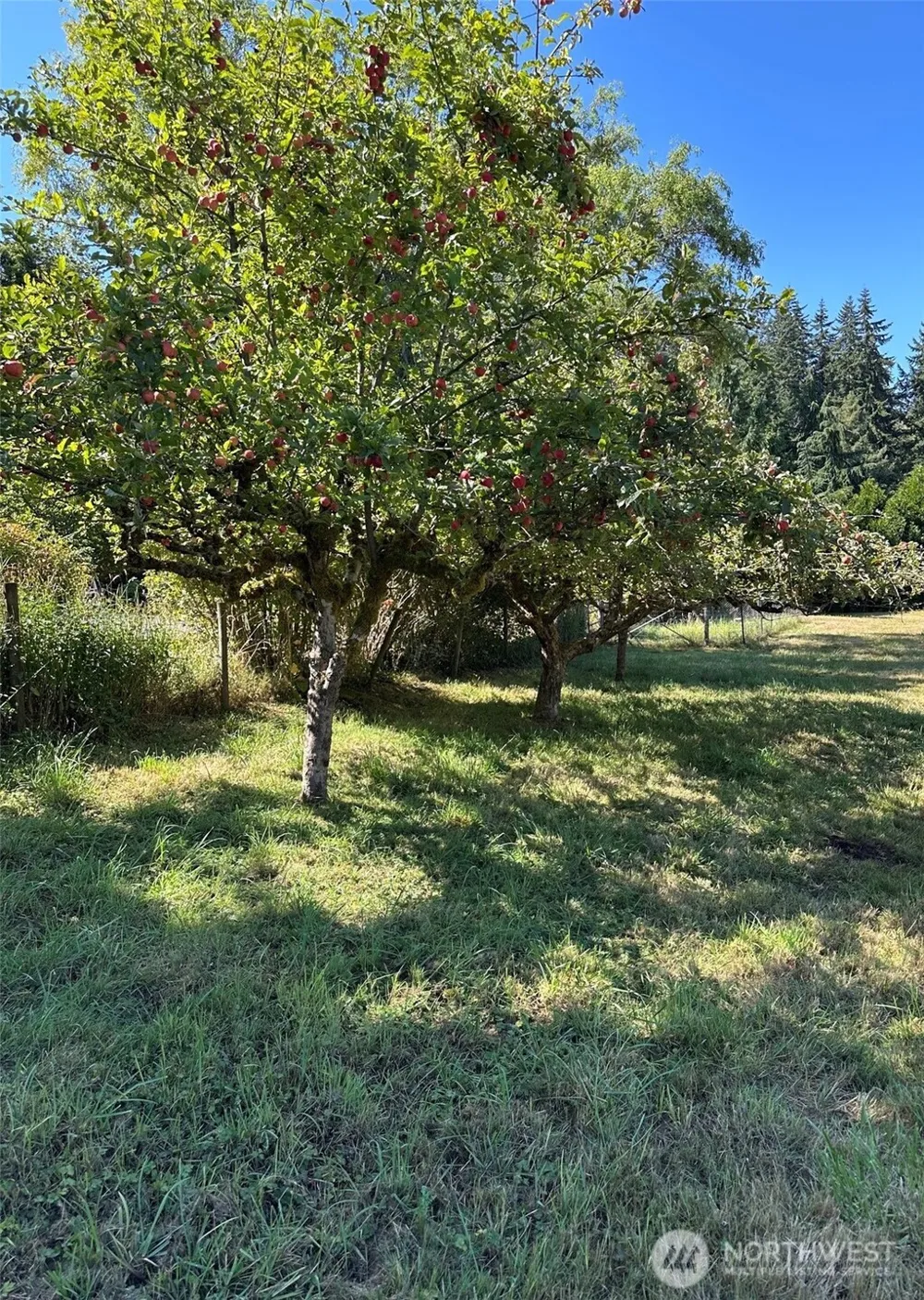 99 xx SW 116th Street Vashon, WA 98070