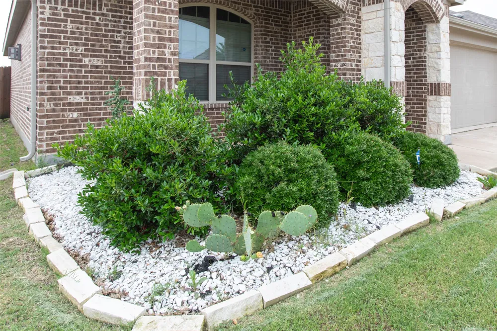 905 Silverbell Street Princeton, TX 75407