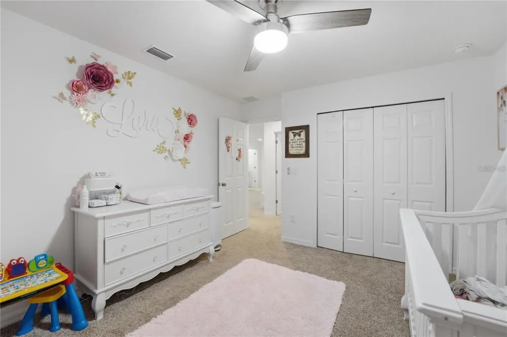 6825 WILSON HAMMOCK AVENUE Groveland, FL 34736