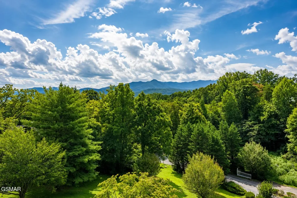 338 Pinnacle View Way #STE 134 Gatlinburg, TN 37738