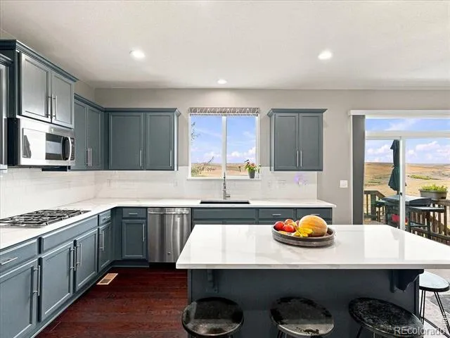 2245 Stonefish Drive Windsor, CO 80550