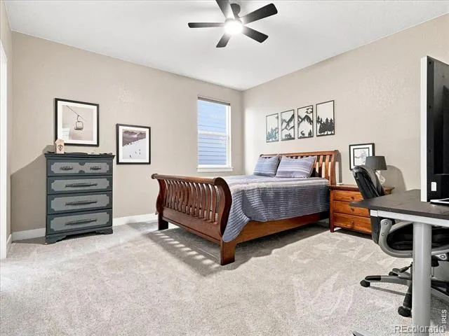 2245 Stonefish Drive Windsor, CO 80550