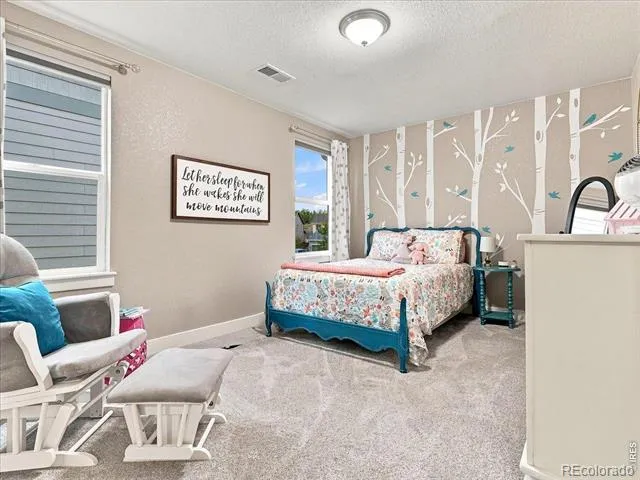 2245 Stonefish Drive Windsor, CO 80550