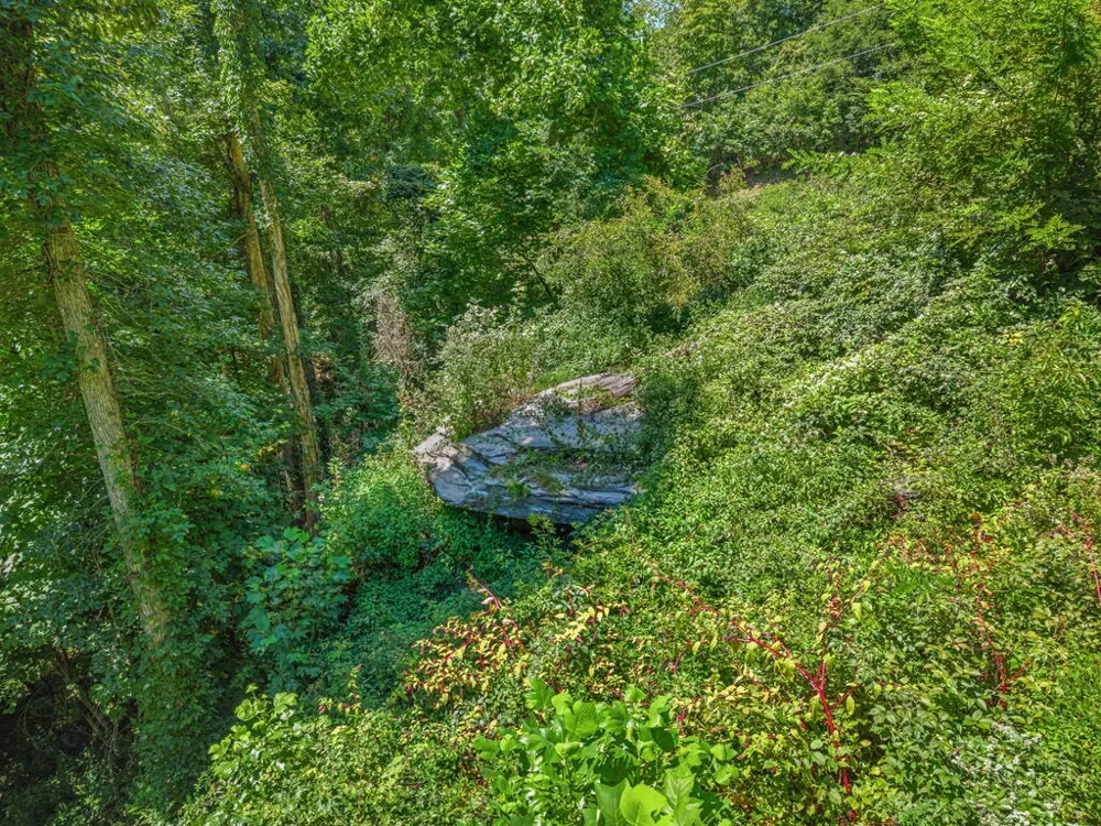 Grizzly Ridge Bryson City, NC 28713