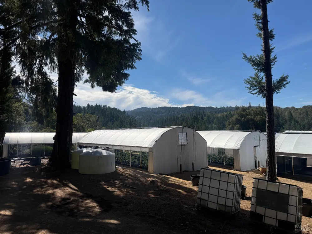 16900 Old Boy Scout Road Willits, CA 95490