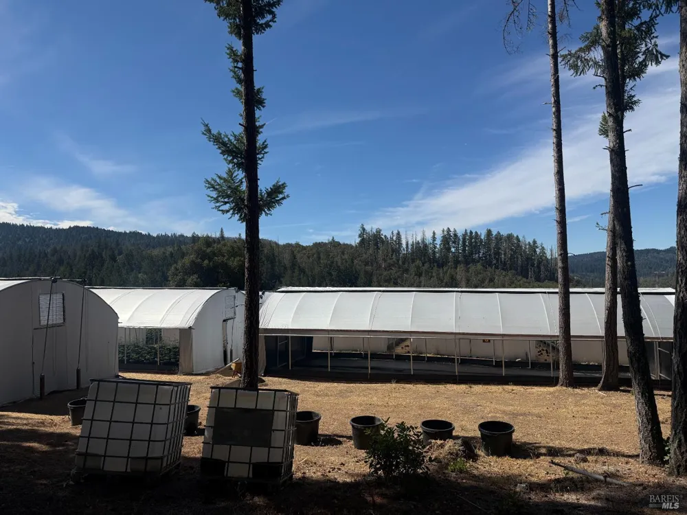 16900 Old Boy Scout Road Willits, CA 95490