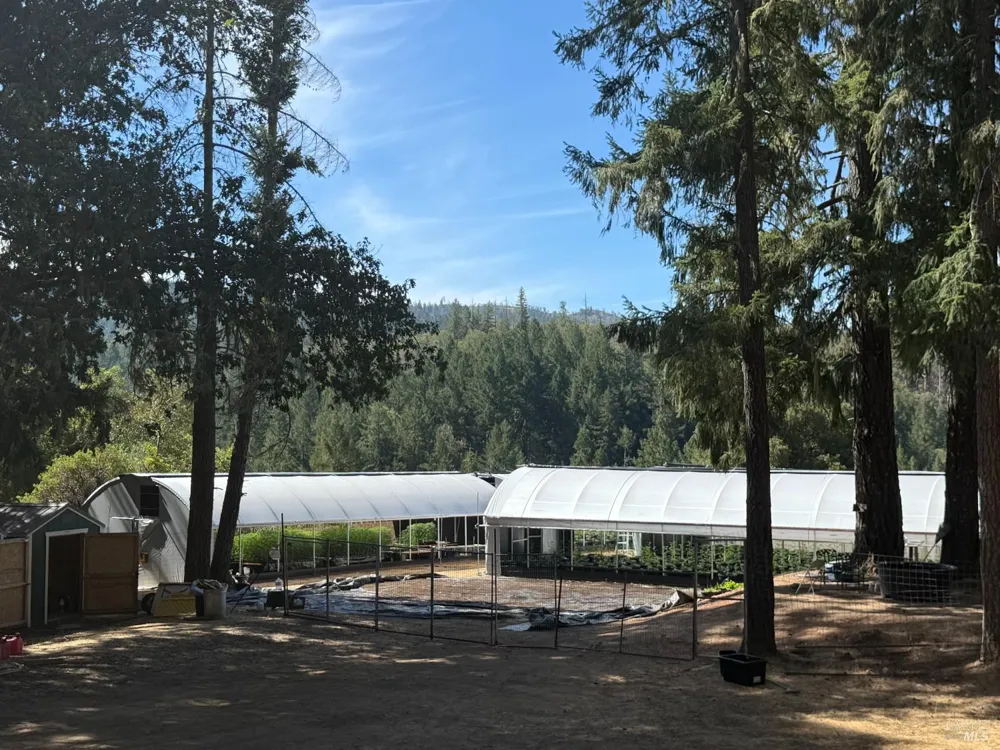 16900 Old Boy Scout Road Willits, CA 95490