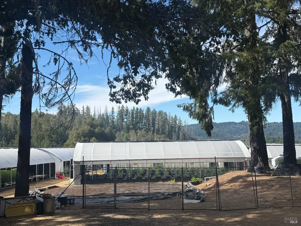 16900 Old Boy Scout Road Willits, CA 95490
