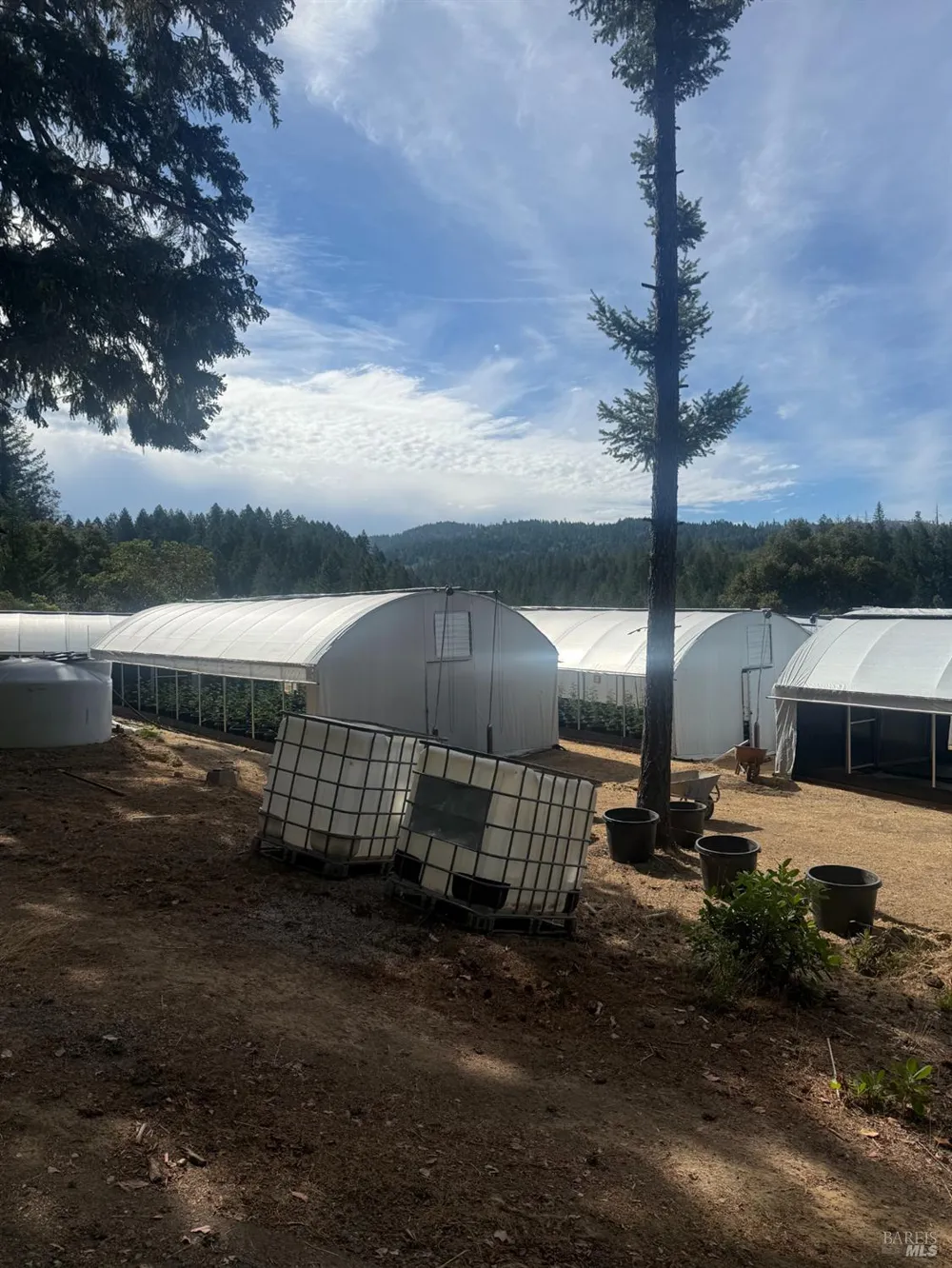 16900 Old Boy Scout Road Willits, CA 95490