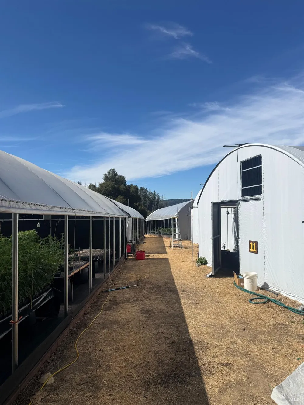 16900 Old Boy Scout Road Willits, CA 95490