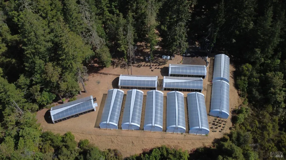 16900 Old Boy Scout Road Willits, CA 95490