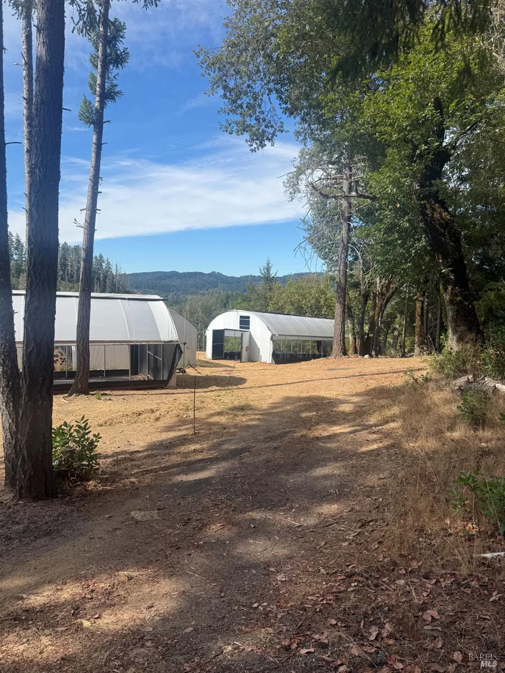 16900 Old Boy Scout Road Willits, CA 95490