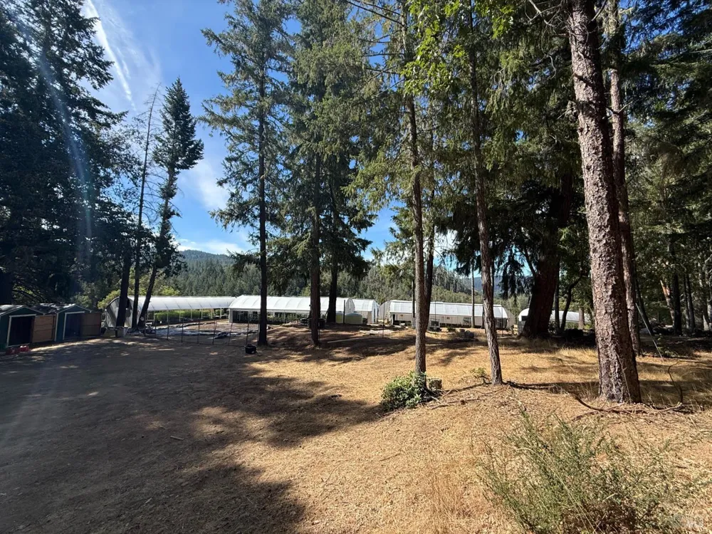 16900 Old Boy Scout Road Willits, CA 95490
