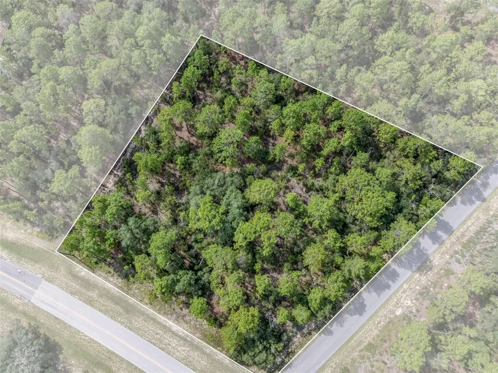 7293 WINDBROOK DRIVE Citrus Springs, FL 34433