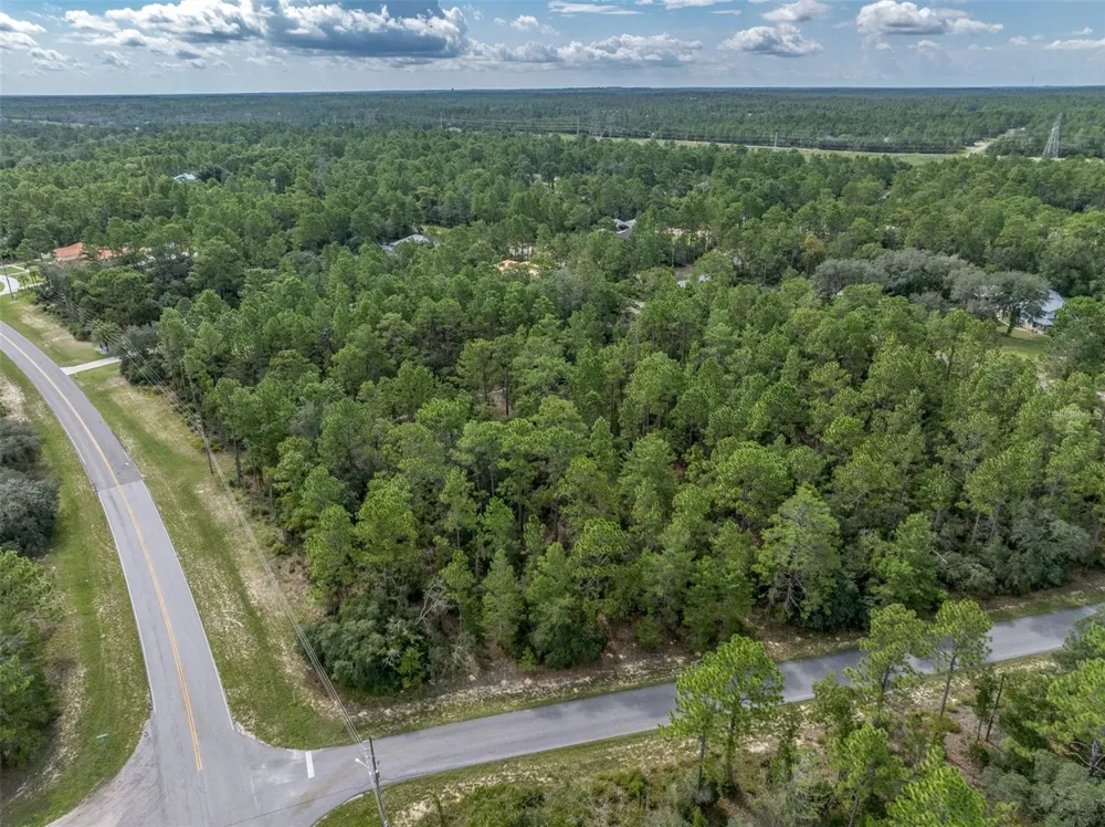 7293 WINDBROOK DRIVE Citrus Springs, FL 34433