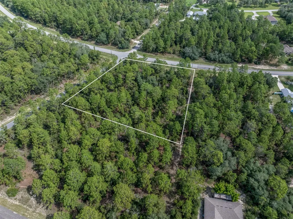 7293 WINDBROOK DRIVE Citrus Springs, FL 34433