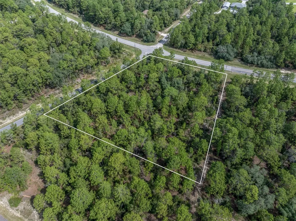 7293 WINDBROOK DRIVE Citrus Springs, FL 34433