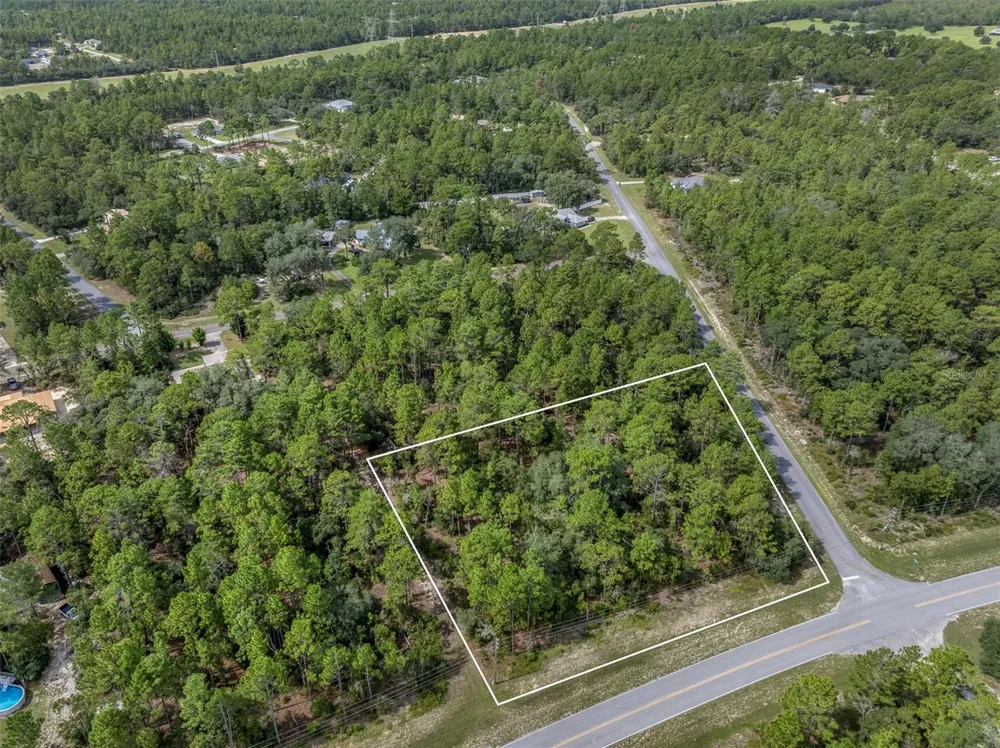 7293 WINDBROOK DRIVE Citrus Springs, FL 34433