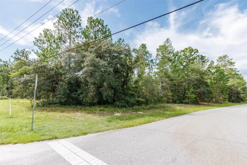 7293 WINDBROOK DRIVE Citrus Springs, FL 34433