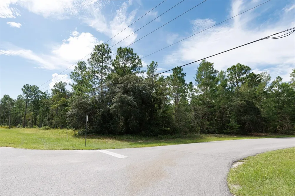 7293 WINDBROOK DRIVE Citrus Springs, FL 34433