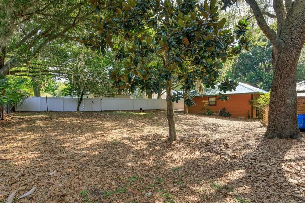 10350 LAKE LOUISA ROAD Clermont, FL 34711