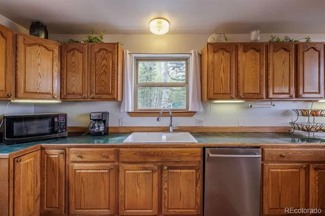 124 Bear Trail Lake George, CO 80827