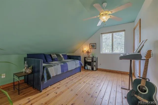 124 Bear Trail Lake George, CO 80827