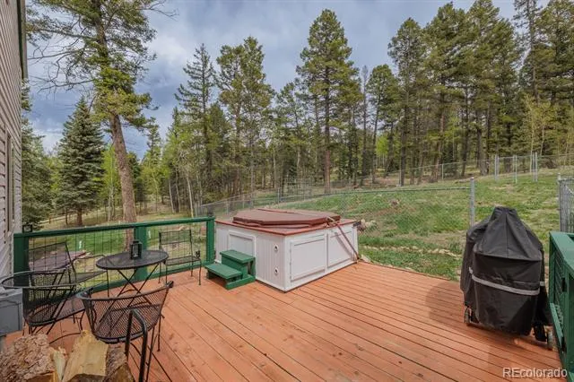124 Bear Trail Lake George, CO 80827