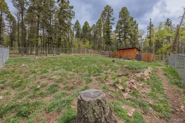 124 Bear Trail Lake George, CO 80827