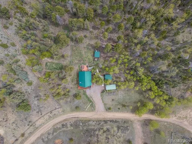 124 Bear Trail Lake George, CO 80827