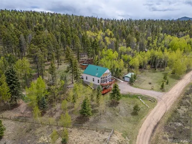 124 Bear Trail Lake George, CO 80827