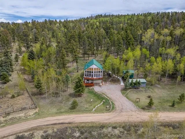 124 Bear Trail Lake George, CO 80827