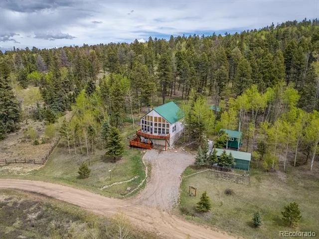 124 Bear Trail Lake George, CO 80827