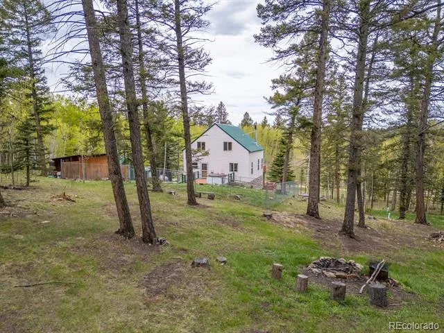 124 Bear Trail Lake George, CO 80827