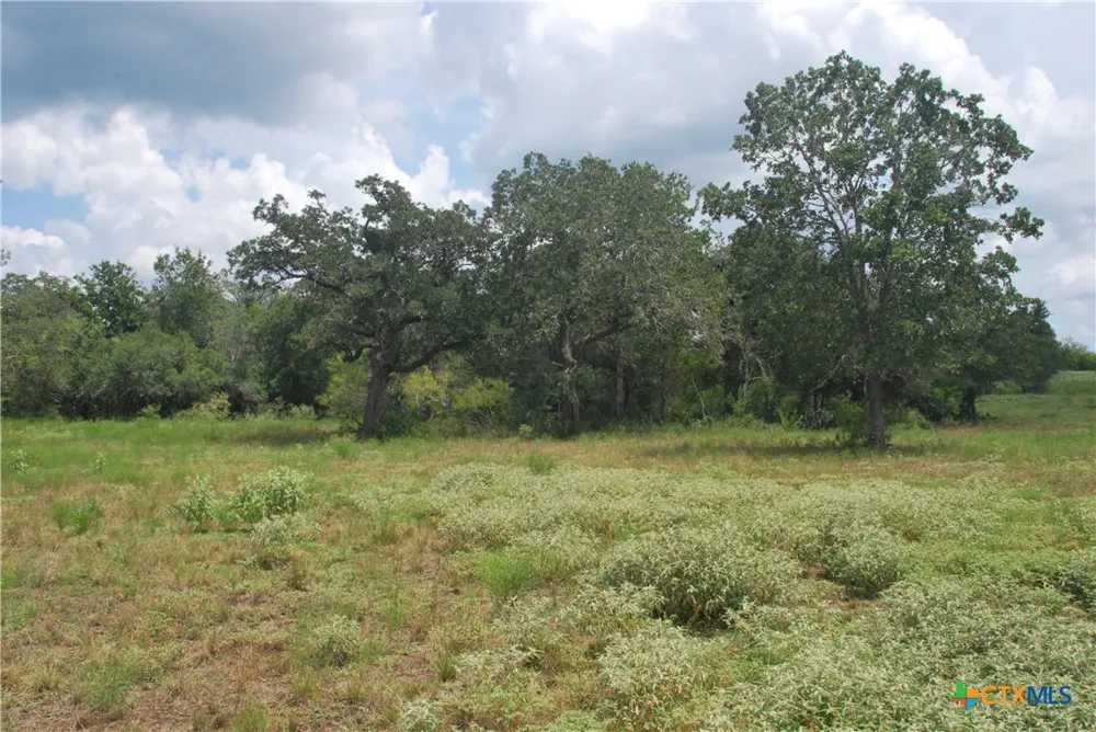 24 State Highway 95 Flatonia, TX 78941