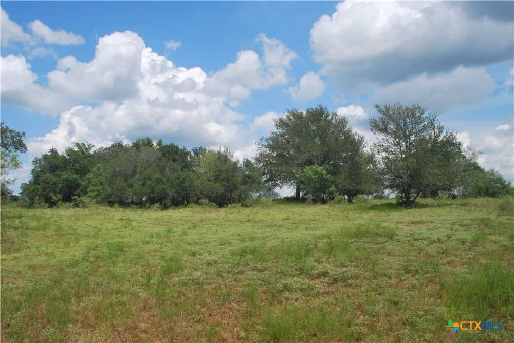 24 State Highway 95 Flatonia, TX 78941