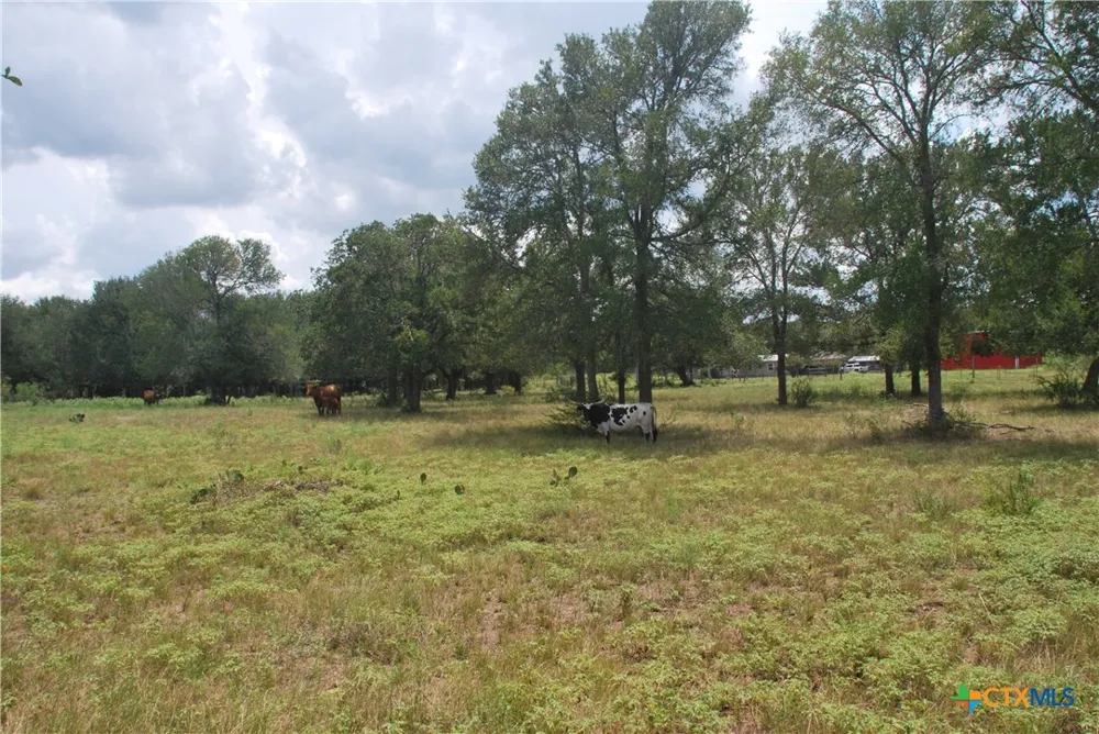 24 State Highway 95 Flatonia, TX 78941