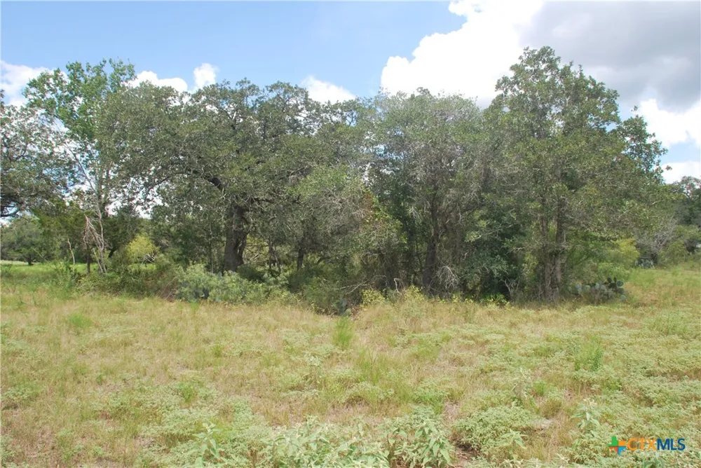 24 State Highway 95 Flatonia, TX 78941