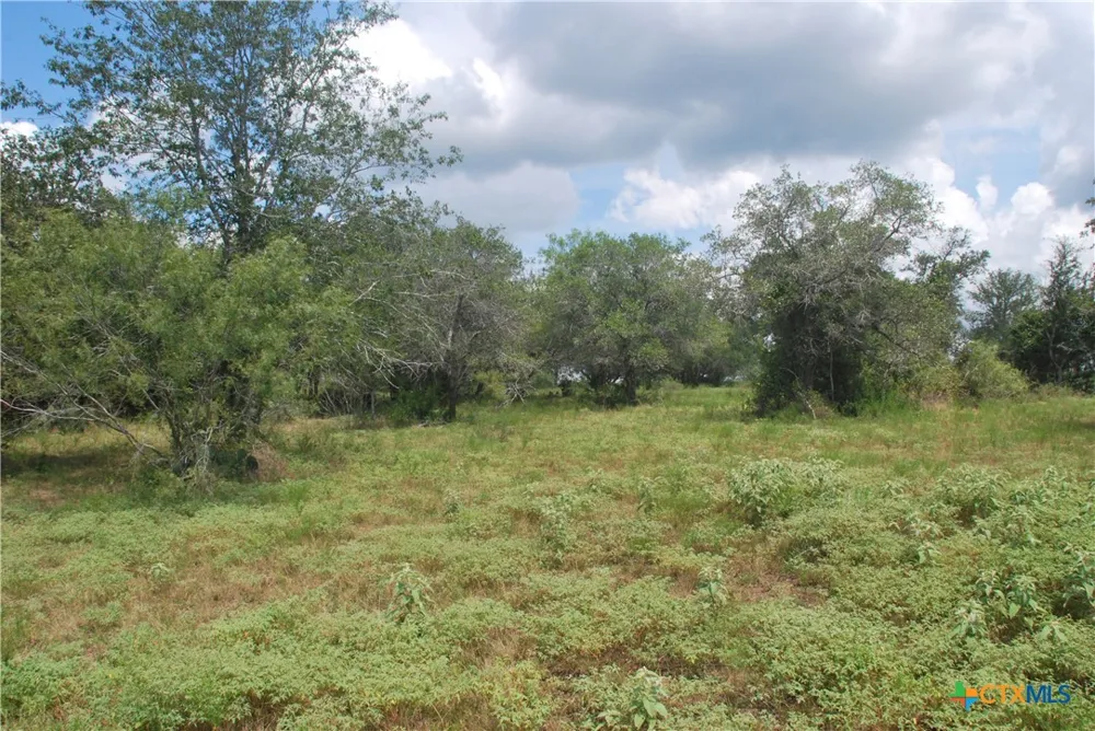 24 State Highway 95 Flatonia, TX 78941