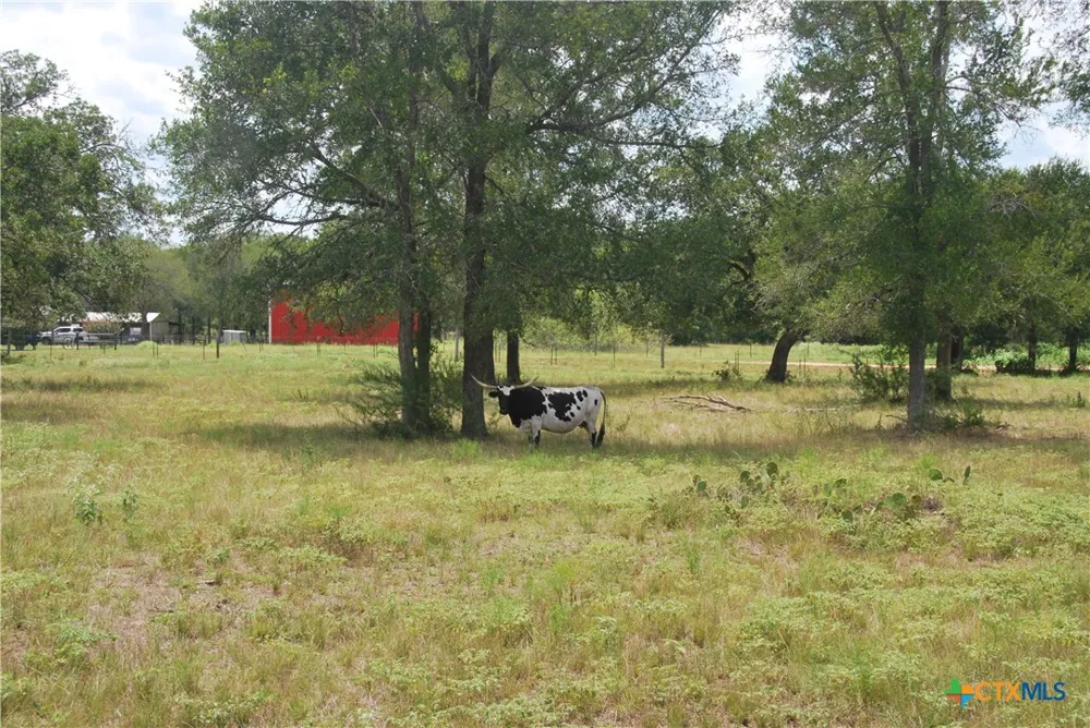 24 State Highway 95 Flatonia, TX 78941