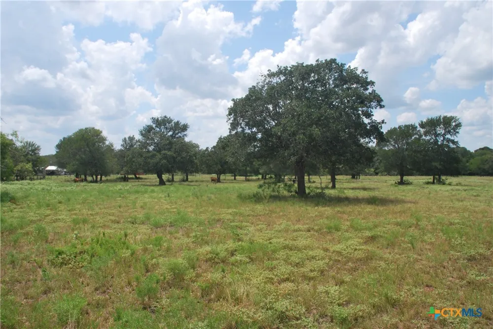 24 State Highway 95 Flatonia, TX 78941
