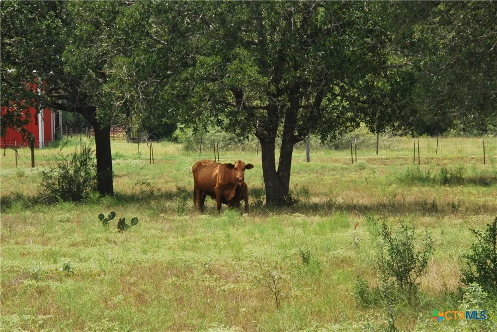 24 State Highway 95 Flatonia, TX 78941