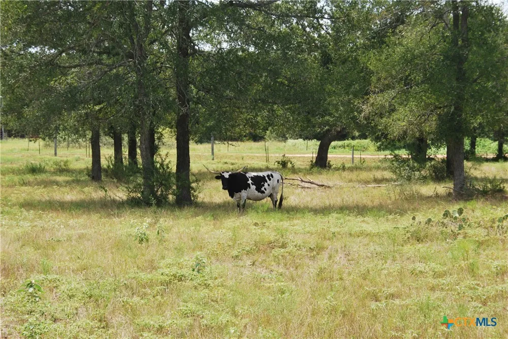 24 State Highway 95 Flatonia, TX 78941