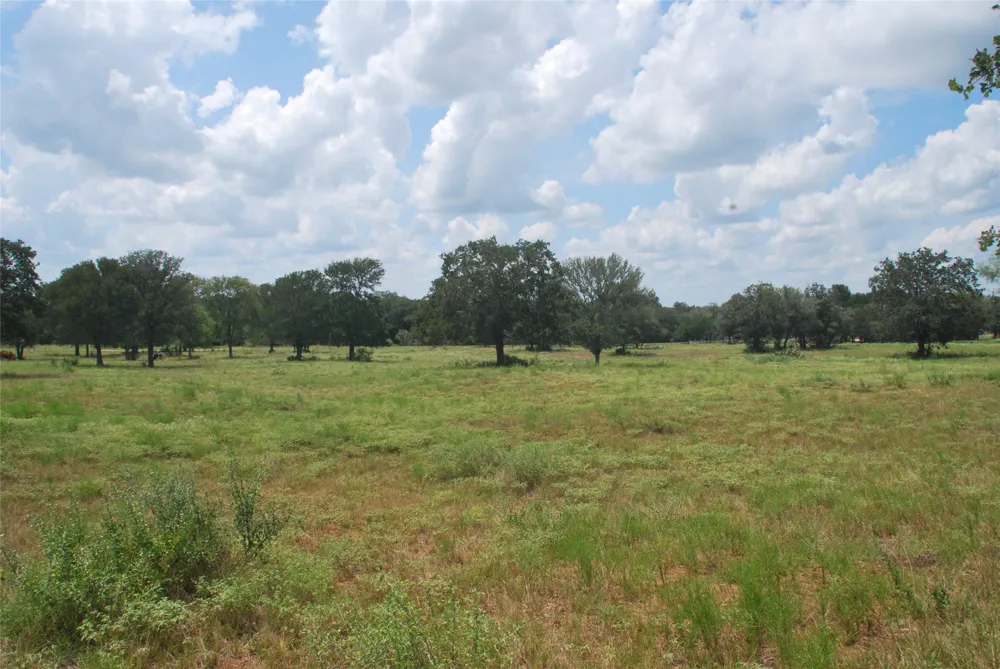 24 State Highway 95 Flatonia, TX 78941