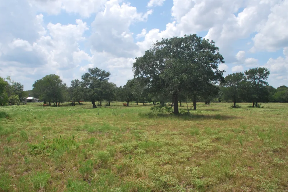 24 State Highway 95 Flatonia, TX 78941